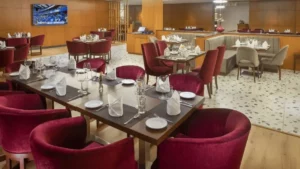 Read more about the article What Makes Paprika a Must-Visit in Greater Noida